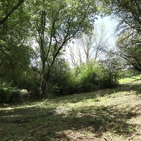 Quinta Do Vale De Cavalos Agroturismo