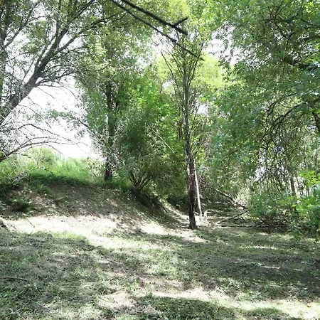 Agroturismo Quinta Do Vale De Cavalos