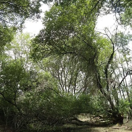 Quinta Do Vale De Cavalos *