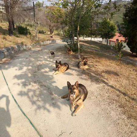 Quinta Do Vale De Cavalos *